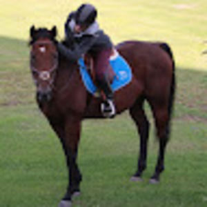 Meet your Posher, Hayley